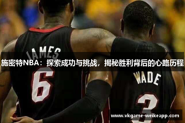 施密特NBA：探索成功与挑战，揭秘胜利背后的心路历程