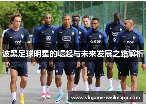 波黑足球明星的崛起与未来发展之路解析