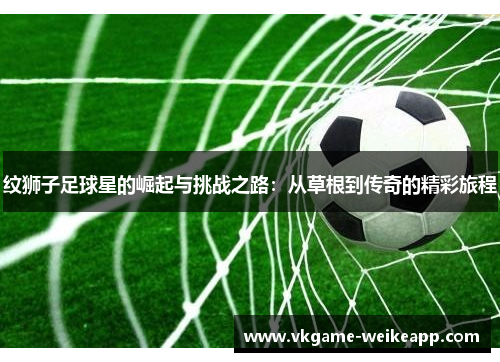 纹狮子足球星的崛起与挑战之路：从草根到传奇的精彩旅程